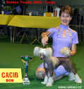 BOB + Golden winner - CACIB Liége 2002 - Gessi