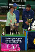 Gessi won also BIS club show for Toy breeds in this show!!! Thanks Mr. Zidar!