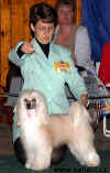 BOB, Národní vítěz 2004 - Cody z Haliparku