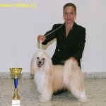 1. místo juniorhandling 07.11..2005 – Sandra Burger, Rakousko + Ich. Cody z Haliparku