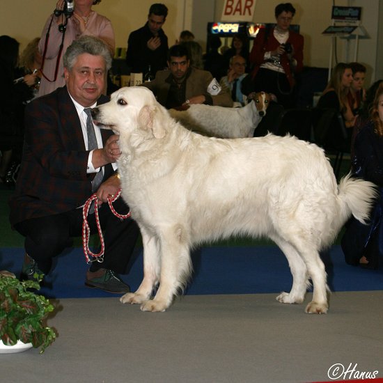 Šampion šampionů 2007