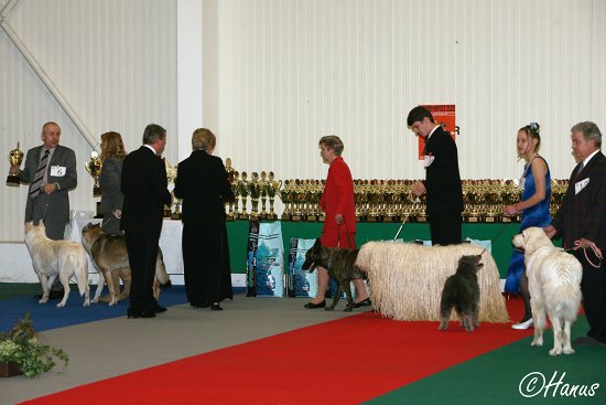 Šampion šampionů 2007