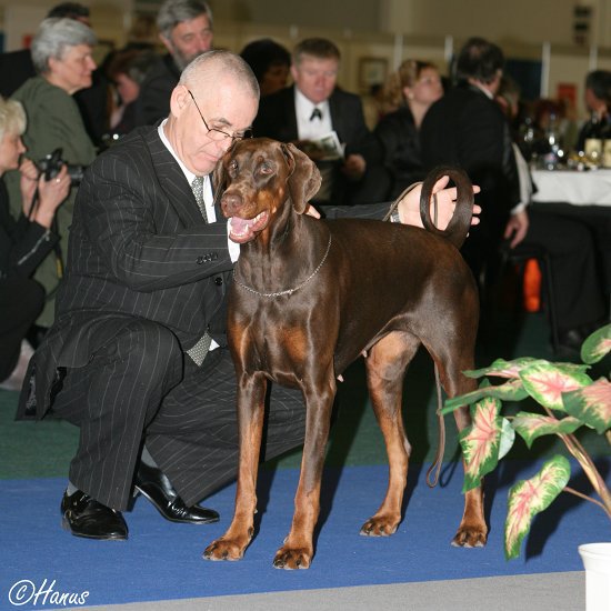 Šampion šampionů 2007