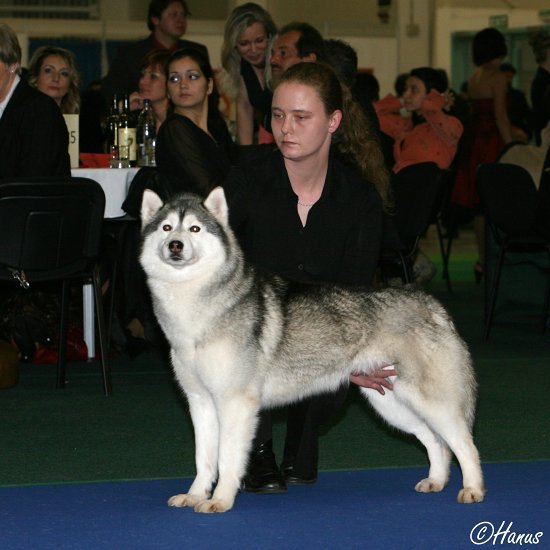 Šampion šampionů 2007