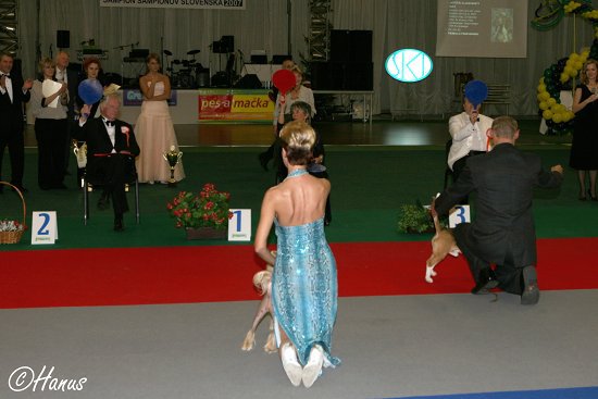 Šampion šampionů 2007