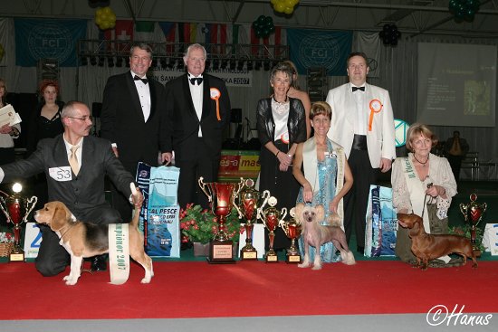 Šampion šampionů 2007