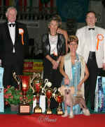 Ich. GESSI Modrý květ - BEST IN GROUP + CHAMPION OF CHAMPIONS 2007 ! Many thanks !!! 