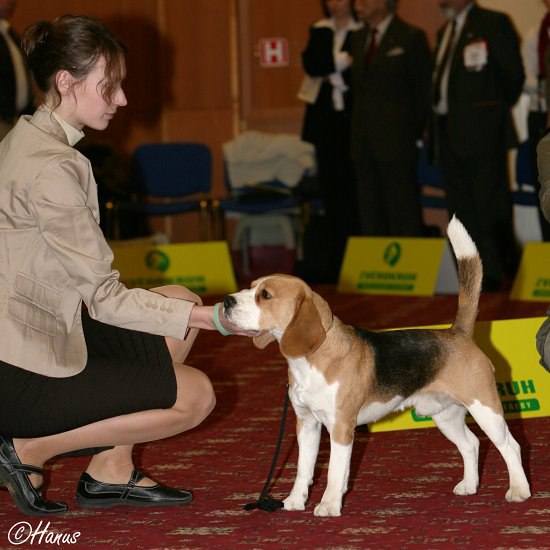 Šampion šampionů ČR 2007