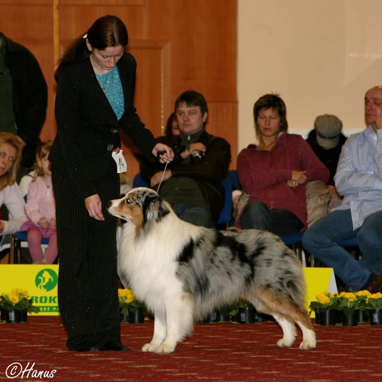 Šampion šampionů ČR 2007