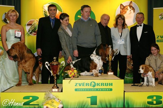 Šampion šampionů ČR 2007