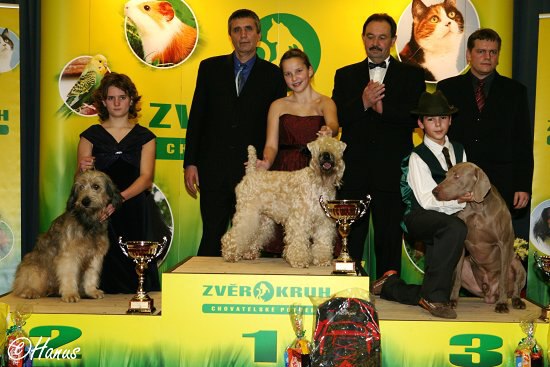 Šampion šampionů ČR 2007