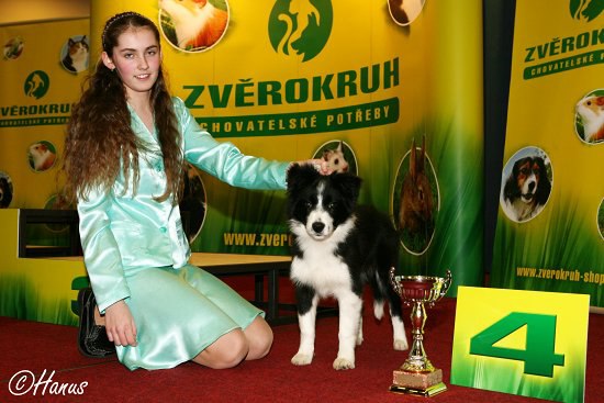 Šampion šampionů ČR 2007