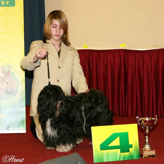 Šampion šampionů ČR 2007