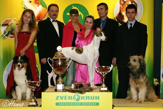 Šampion šampionů ČR 2007