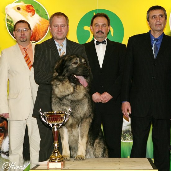 Šampion šampionů ČR 2007