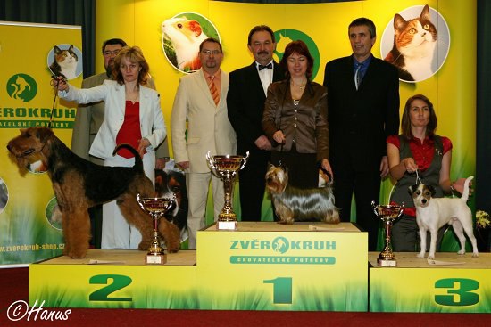 Šampion šampionů ČR 2007