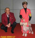 Ch. Kitty z Haliparku - BOB and Best female at the Speciality show. Many thanks to judge Mr. Stefan Sinko (SLO)