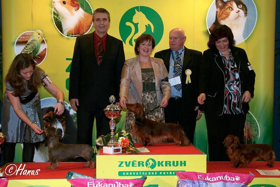 Šampion šampionů 2009