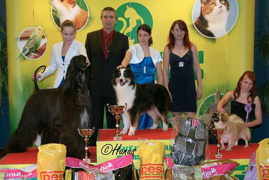 TOP Dog 2009