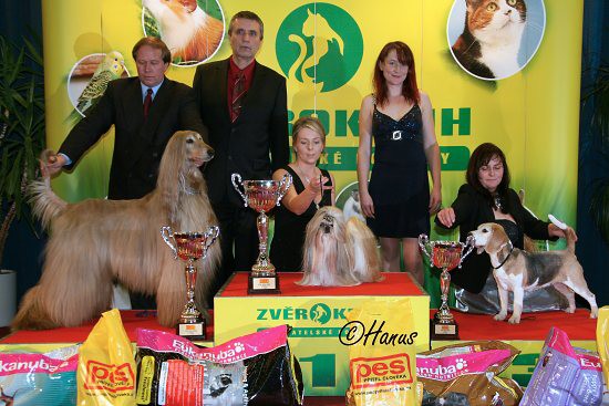 TOP Dog 2009