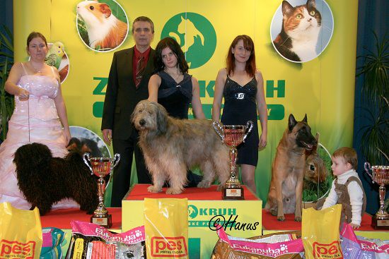 TOP Dog 2009