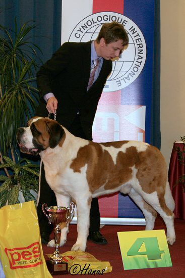 TOP Dog 2009