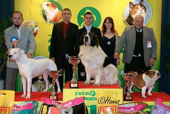 TOP Dog 2009