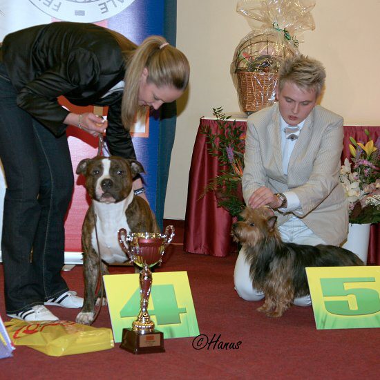 TOP Dog 2009