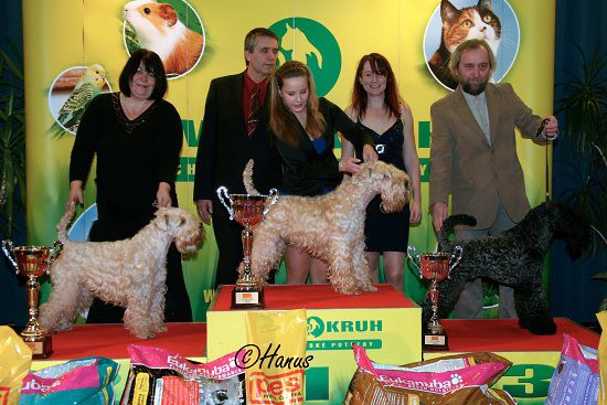 TOP Dog 2009