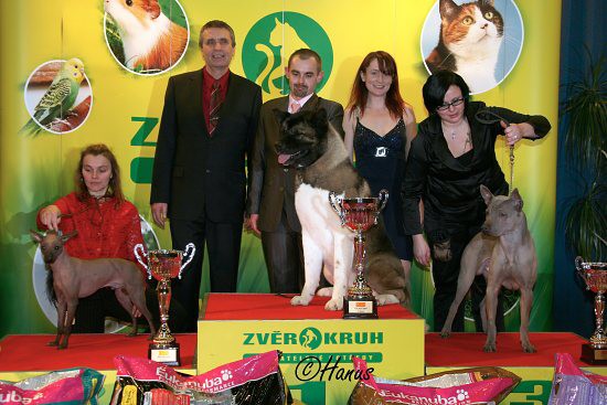 TOP Dog 2009