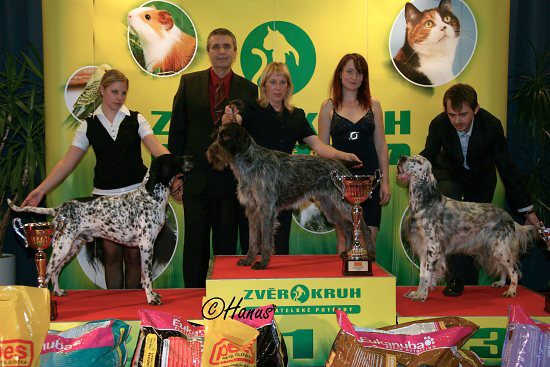 TOP Dog 2009