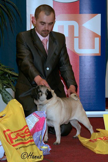 TOP Dog 2009