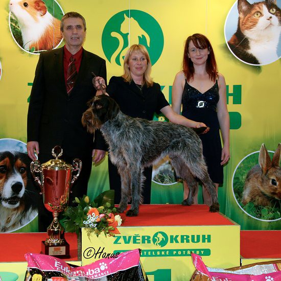 TOP Dog 2009