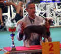 Reseve Puppy Best in Show - You´re my man of Honeycroft pana Blumela.