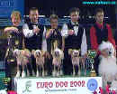 Winner breeders group - Modrý květ - chinese crested dog - Czech republic - breeder: Jiří Pospíšil.
