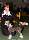 Eso z Haliparku - Verry promissing 1 - European dog show 2003