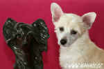 Leiko a náš "nový číňánek" :))