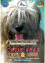 Arad 2002 - 2x CACIB