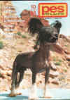 Vůbec první ucelený portrét plemene čínský chocholatý pes otiskl časopis Pes přítel člověka v čísle 10/1996.