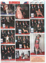 Our dogs newspaper January 5th 2007.