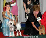 World Supreme Superior FCI - Ich. Akim Hvězda z Podmok among 32 the best dogs !!!