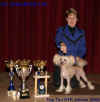 Gessi Modrý květ - Vítězka Top Ten 2004