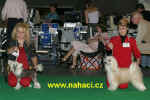 Dogs champion class - Oriental Jokes Simply the Best and Cody z Haliparku