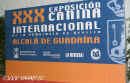 30. CACIB a 12. CAC výstava /30th International and 12th National dog show in Sevilla 