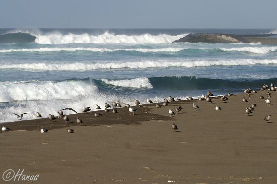 Sao Miguel 2006