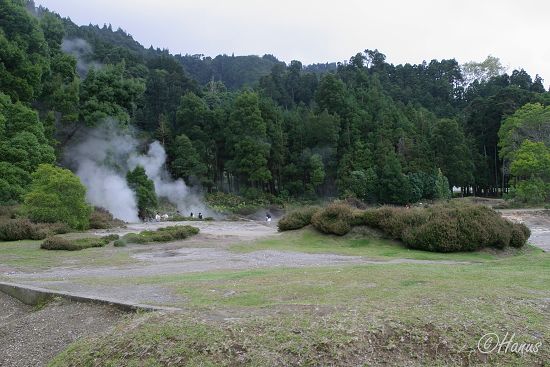 Sao Miguel 2006