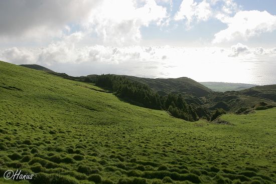 Sao Miguel 2006