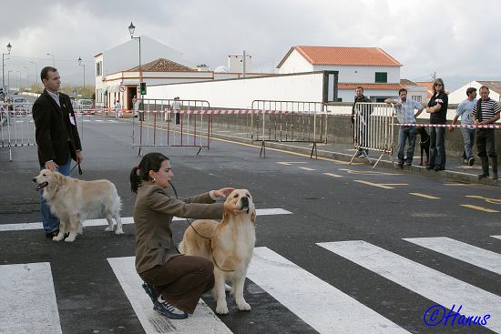 CACIB Grand Ribera 2006