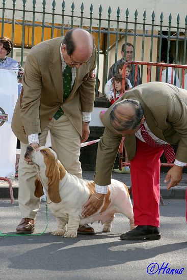 CACIB Grand Ribera 2006