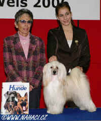 The best juniorhandler in Austria 2006 - Sandra Burger + Ich. Cody z Haliparku, judge: Lisbeth Mach, Switzerland